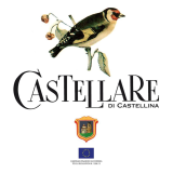 https://www.castellare.it/it/