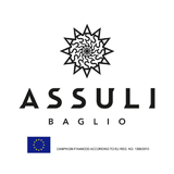 https://assuli.it/